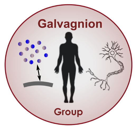 Galvagnion Group